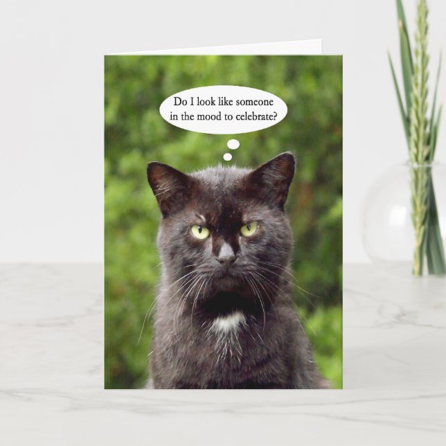 Happy Grouch Day noir ennuyé chat carte de voeux (Devant)