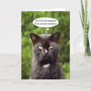 Happy Grouch Day noir ennuyé chat carte de voeux