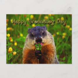 Happy Groundhog Day Eating Blume Postkarte