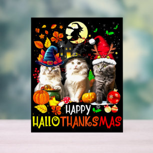 Happy HalloDankeMas Cats Acrylschild
