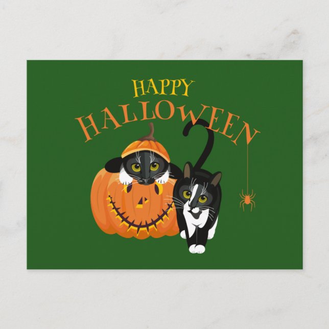 Happy Halloween Cat fun Postcard Postkarte (Vorderseite)