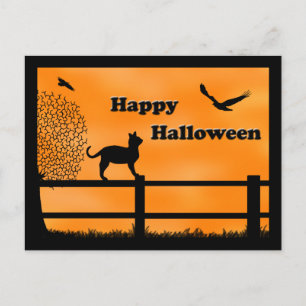 Happy Halloween Cat Post Card Postkarte
