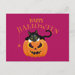 Happy Halloween Chat fun Carte postale