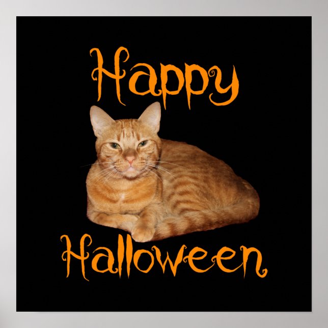 Happy Halloween Non-Beängstigend Orange Tabby Cat Poster (Vorne)