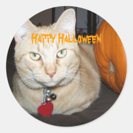 Happy Halloween Orange Tabby Cat mit Pumpkin Runder Aufkleber
