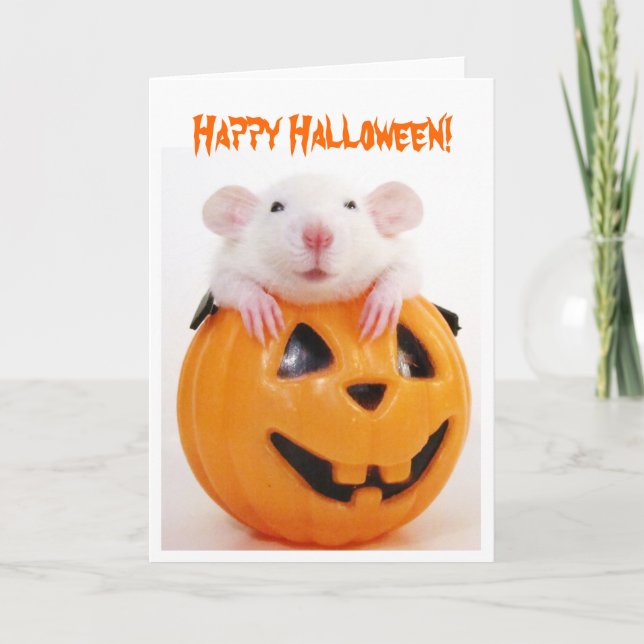 Happy Halloween Pumpkin Rat Karte (Vorderseite)