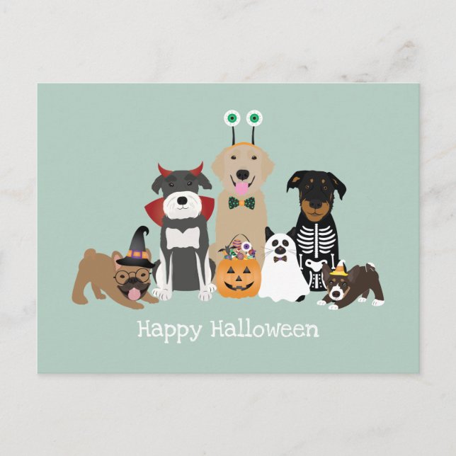 Happy Halloween Spooky Pet Kostüme Postkarte (Vorderseite)
