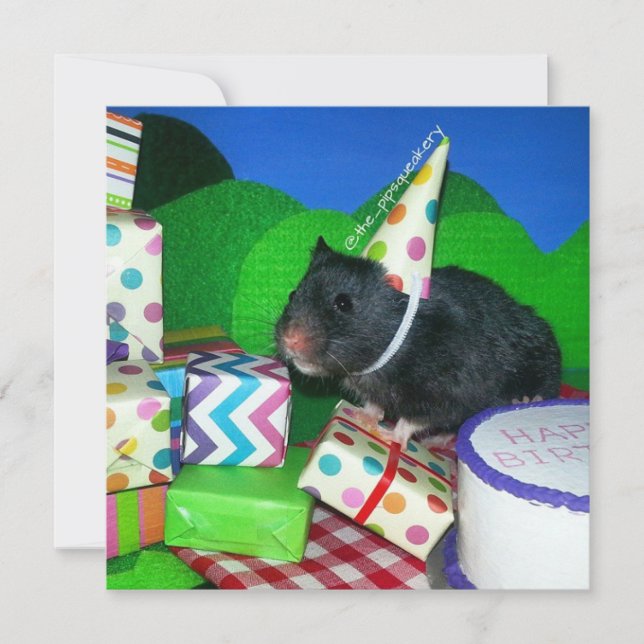 Happy Hamster Geburtstag! Karte (Vorderseite)