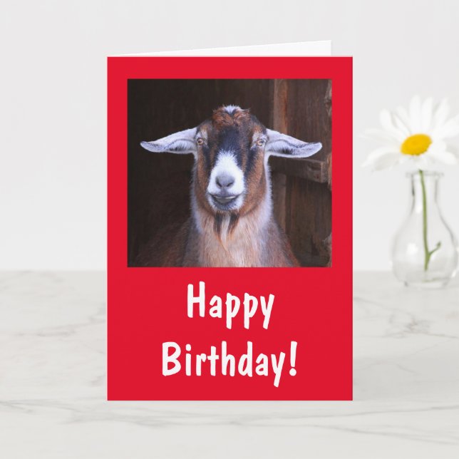Happy Handsome Goat Birthday Karte (Kleine Pflanze)
