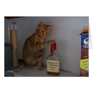 Happy Happy Hour (avec texte)