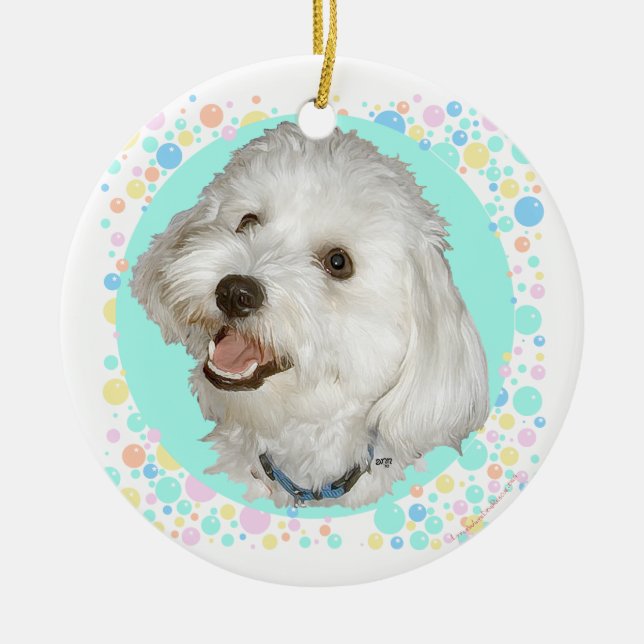 Happy Havanese Keramikornament (Vorne)