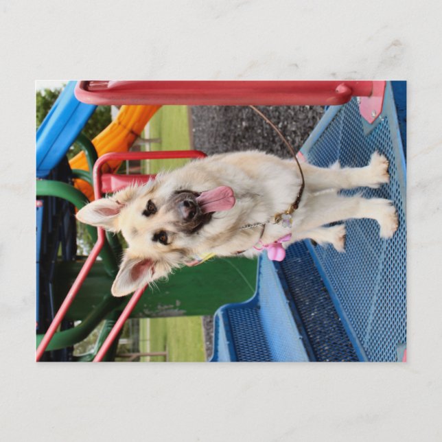 Happy Head Tilt Postkarte (Vorderseite)