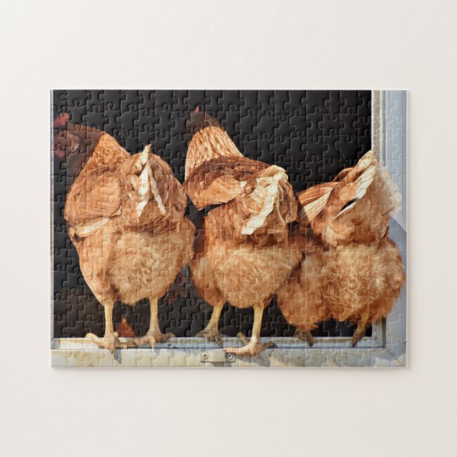 Happy Hens Funny Chicken Hintern Foto (Horizontal)