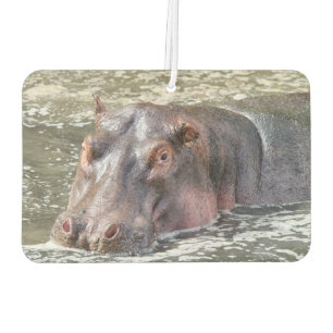 Happy Hippo Autolufterfrischer