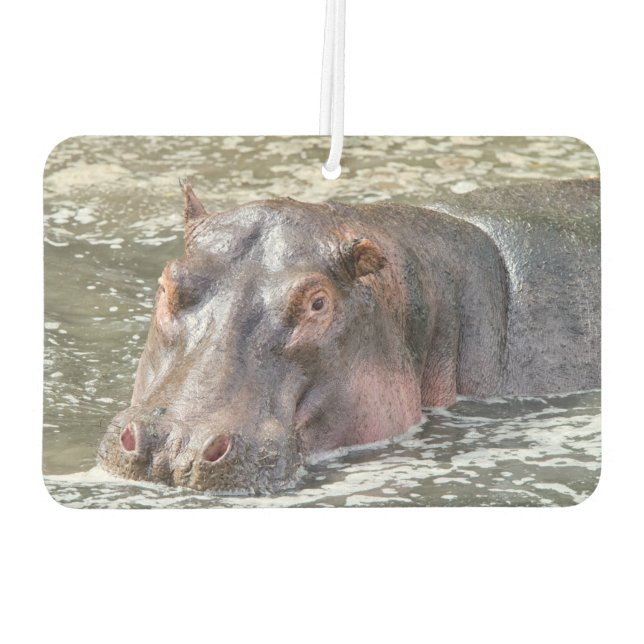 Happy Hippo Autolufterfrischer (Rückseite)