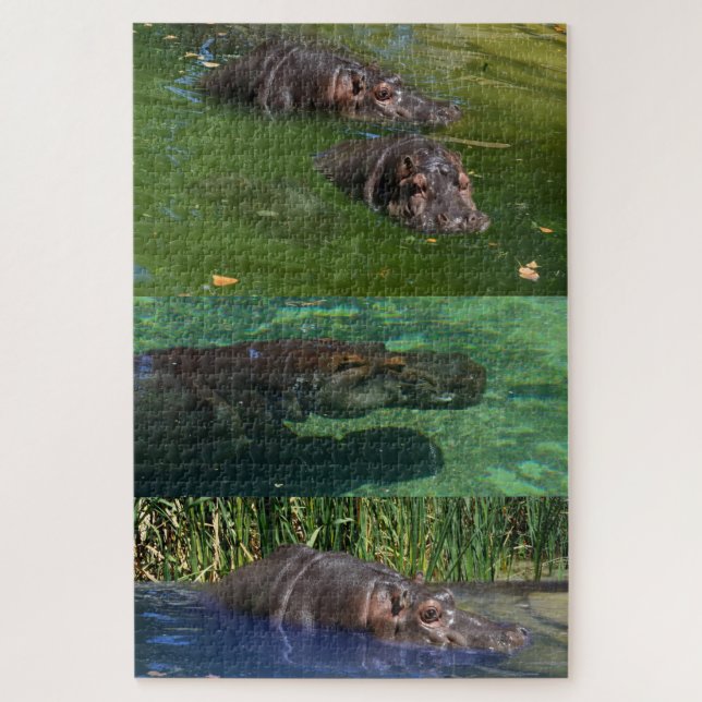 Happy Hippos in einem Teich, (Vertikal)