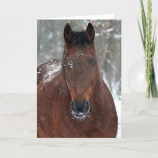 Happy Holiday Card Feiertagskarte