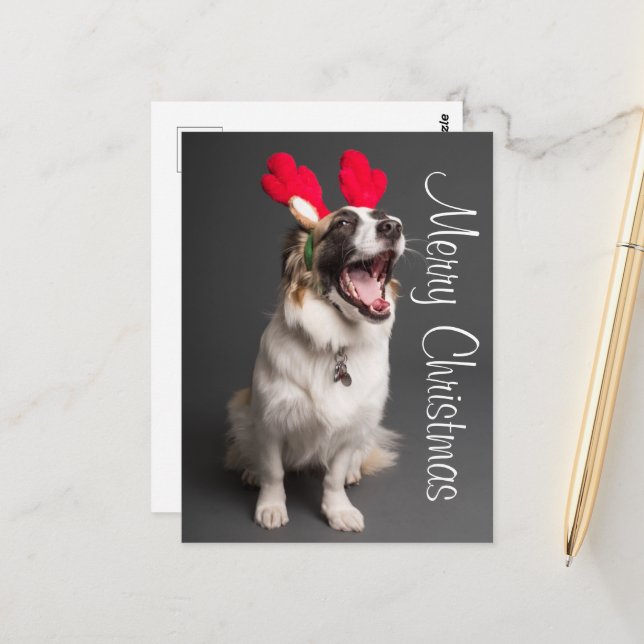 Happy Holiday Puppy Postkarte (Vorderseite/Rückseite Beispiel)