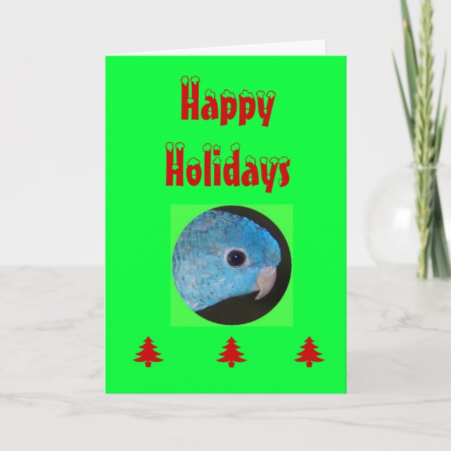 Happy Holidays Card, linnie parakeet Feiertagskarte (Vorderseite)