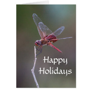 Happy Holidays Dragonfly