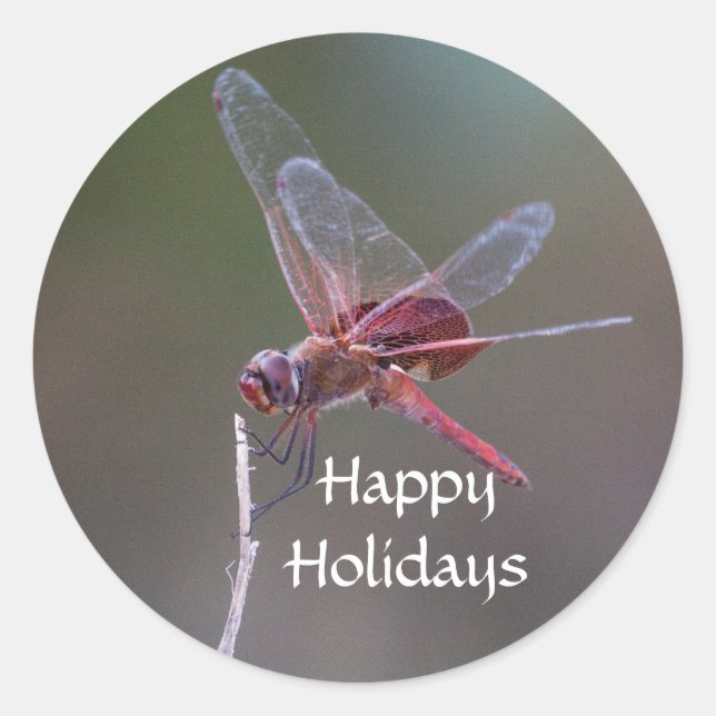 Happy Holidays Dragonfly Runder Aufkleber (Vorderseite)