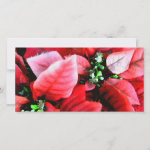 Happy Holidays_ Feiertagskarte
