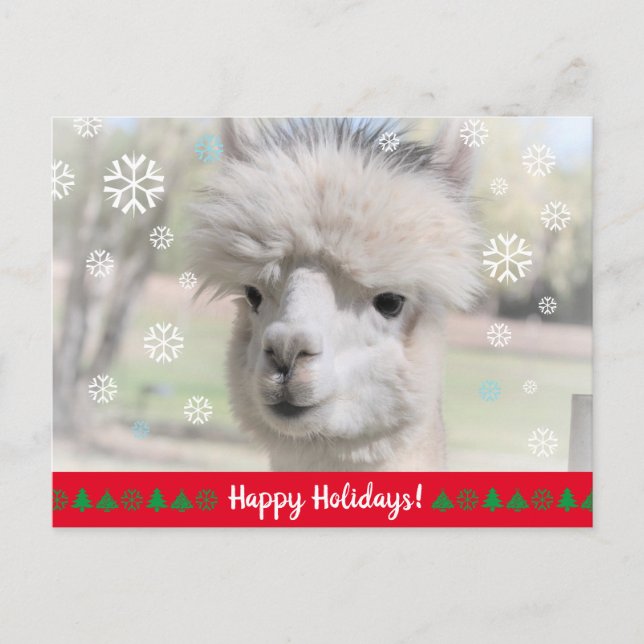 Happy Holidays from Snow Alpaca Postkarte (Vorderseite)