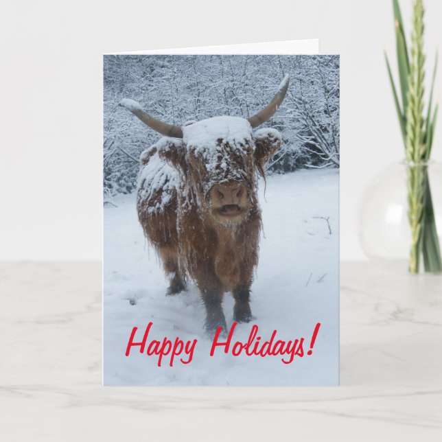 Happy Holidays Highland Cow Feiertagskarte (Vorderseite)
