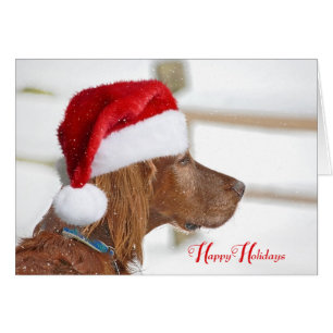 Happy Holidays Irish Setter