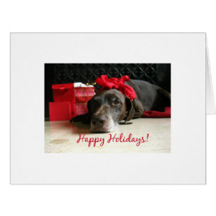 Happy Holidays Kurzhaarzeiger