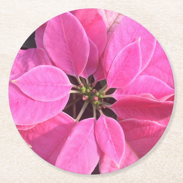 Happy Holidays Poinsettia Runder Pappuntersetzer (Vorderseite)
