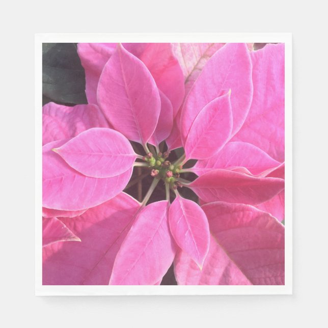 Happy Holidays Poinsettia Serviette (Vorderseite)