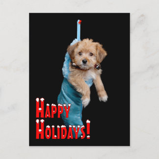 Happy Holidays Puppy Feiertagspostkarte