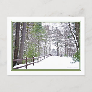 Happy Holidays/Walden Pond: Postkarte