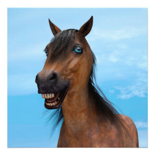 Happy Horse Fotodruck