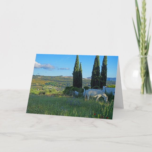 Happy Horse Karte (Vorderseite)