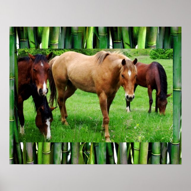 HAPPY HORSES POSTER (Vorne)
