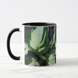 Happy Hosta Combo Mug
