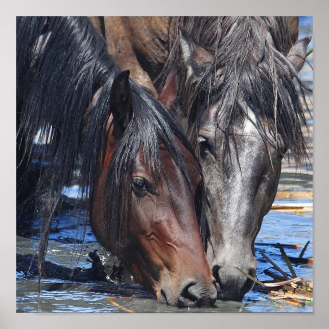 Happy Hour Poster (Vorne)