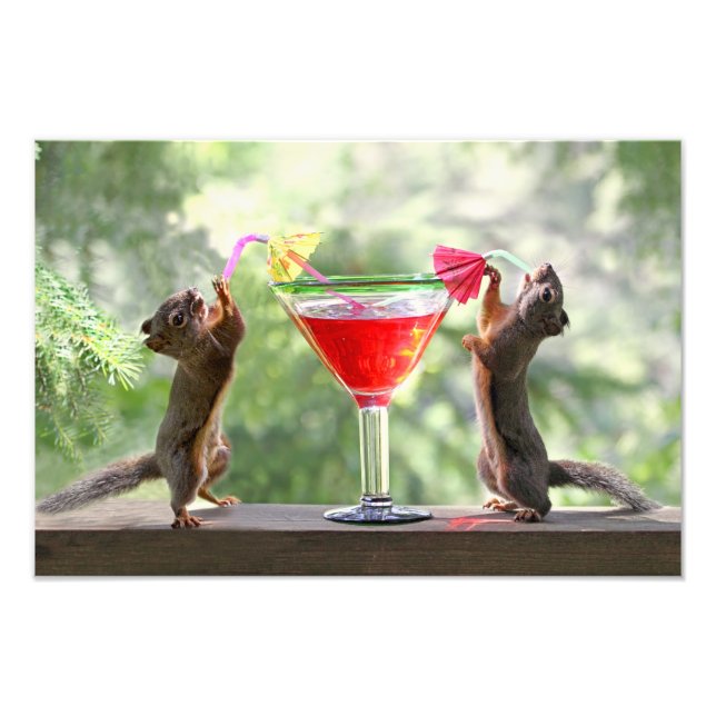 Happy Hour Squirrels Fotodruck (Vorne)