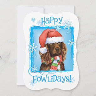 Happy Howlidays Boykin Spaniel Feiertagskarte