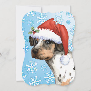 Happy Howlidays Catahoula Feiertagskarte