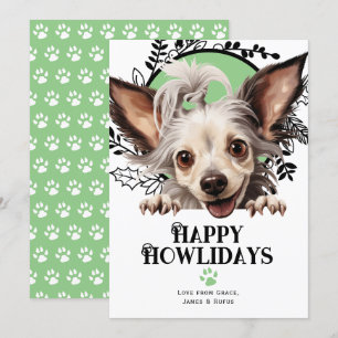 Happy Howlidays Chinese Crested Hund Weihnachten