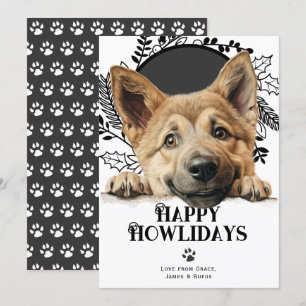 Happy Howlidays Chinook Dog Weihnachten