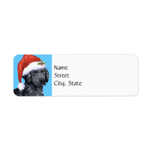 Happy Howlidays Curly Coated Retriever