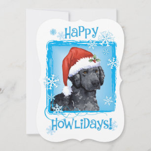 Happy Howlidays Curly Coated Retriever Feiertagskarte