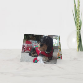 Happy Howlidays Feiertagskarte