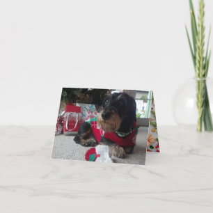 Happy Howlidays Feiertagskarte