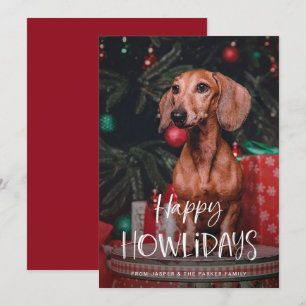 Happy Howlidays   Niedlich Hunde Weihnachten Foto