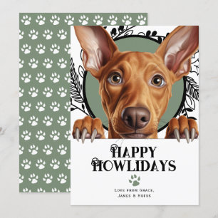 Happy Howlidays Pharaoh Hound Hund Weihnachten